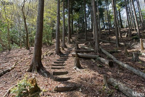 旧花脊峠～芹生峠縦走路 関電巡視路 2016年4月