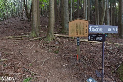 京都北山 滝谷峠 魚谷山・貴船山・滝谷分岐 2016年4月