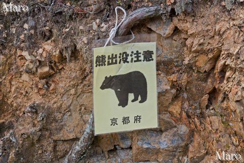 箕ノ裏ヶ岳登山口の「熊出没注意」警告 京都府 2014年4月