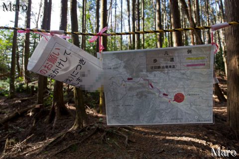 深禅院跡の間伐 遺跡地図が掲示 京都市 2016年1月