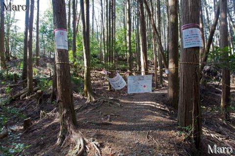 大文字山 森林伐採作業の注意・案内 深禅院跡方面は通行止 2016年1月