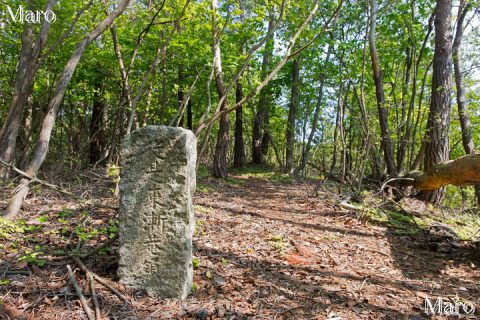 釈迦谷山の山中に残る「従是東漸菴領」境界碑 2016年4月