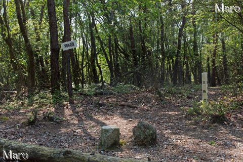 釈迦谷山の山頂 三角点290.9m 京都市北区大宮釈迦谷 2016年4月