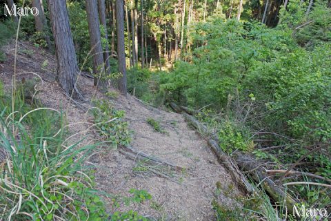 京見峠の下（堂ノ庭）から釈迦谷を下山 2016年4月