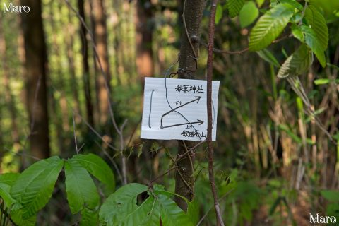 釈迦谷山・釈迦谷（秋葉神社）・京見峠（堂ノ庭）分岐 2016年4月