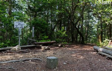 箕ノ裏ヶ岳の山頂 三角点432.3m（撮影当時） 点名「藤ケ森」 京都市左京区 2016年5月