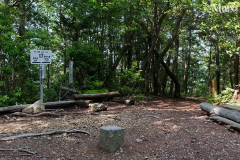 箕ノ裏ヶ岳の山頂 三角点432.3m（撮影当時） 点名「藤ケ森」 京都市左京区 2016年5月