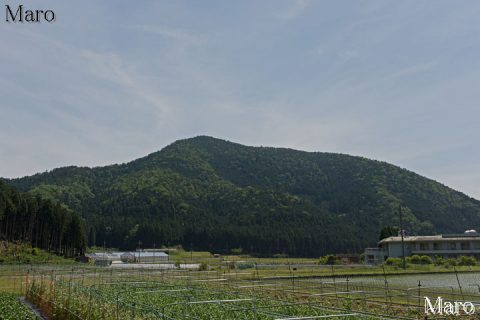 静原神社御旅所の南、静原川の付近から望む箕ノ裏ヶ岳の山容 2016年5月