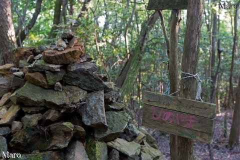 ひのやま（日野山）の山名標と道標 ←供水峠・ユーレイ峠→ 2016年5月