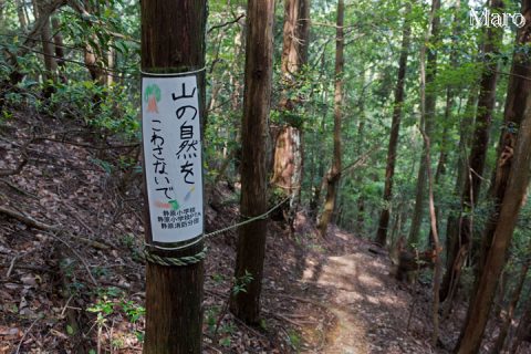 箕ノ裏ヶ岳ハイキングコース 「山の自然をこわさないで」 2016年5月