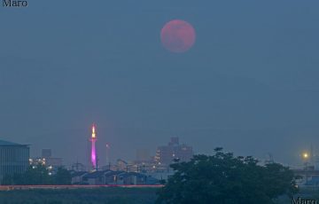 嵐山渡月橋から赤い満月と「夜明けの紫色」の京都タワーを望む 2016年5月