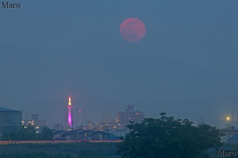 嵐山渡月橋から赤い満月と「夜明けの紫色」の京都タワーを望む 2016年5月