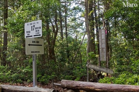 箕ノ裏ヶ岳（箕ノ裏ヶ嶽）の山名標と道標 2016年5月