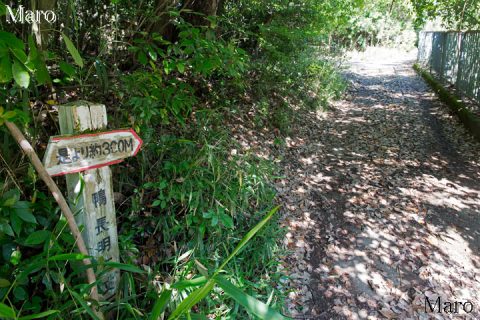 長明方丈石みち 日野岳・天下峰登山口 京都市日野野外活動施設 2016年5月