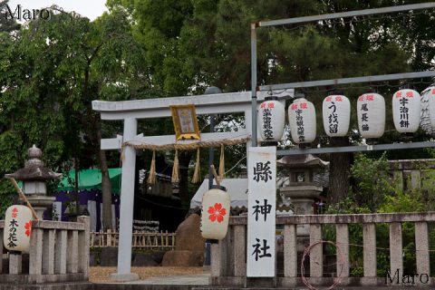 縣神社（県神社） 県祭り（あがた祭り） 京都府宇治市 2016年6月