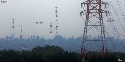 国見山から大阪の高層ビル群、コスモタワーを遠望 枚方市 2016年6月