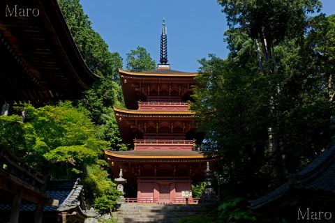 長命寺 三重塔 重要文化財 滋賀県近江八幡市 2016年6月