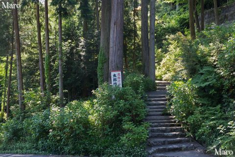 太郎坊権現祠の下 長命寺の境内 2016年6月