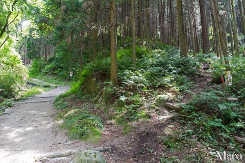 夫婦岩～展望デッキ～国見山作業歩道の取付 2016年6月