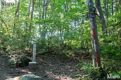 津田山（姨綺耶山、奥島山）の山頂 標高424.5m 滋賀県近江八幡市 2016年6月