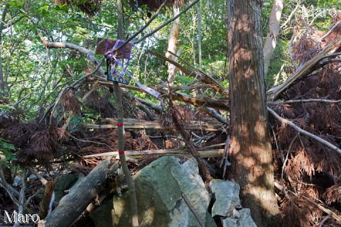 荒れた長命寺山の山頂 標高333m 滋賀県近江八幡市 2016年6月