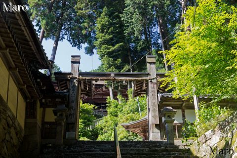 西国三十三所 第三十一番札所 姨綺耶山 長命寺 2016年6月
