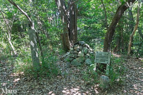 鳩ヶ峰（男山）の山頂 三角点142.4m（点名「八幡」） 京都府八幡市最高峰