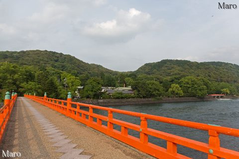 仏徳山（大吉山）と朝日山を宇治川・橘島に架かる朝霧橋から望む 2016年6月