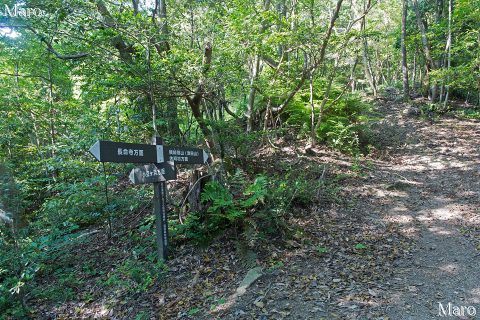 「←小豆ヶ浜方面 ↓長命寺方面 ↑姨綺耶山（津田山）・休暇村方面」道標 2016年6月