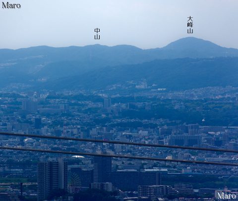 ひらかたパークの観覧車「スカイウォーカー」を「枚方八景」国見山から撮影 2016年6月