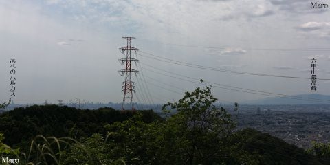 枚方八景 国見山の展望 六甲山と大阪の高層ビル群を遠望 2016年6月