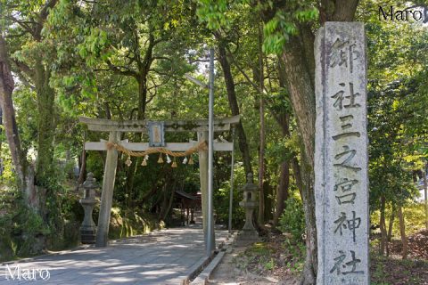 三之宮神社 河内国 大阪府枚方市穂谷 2016年6月