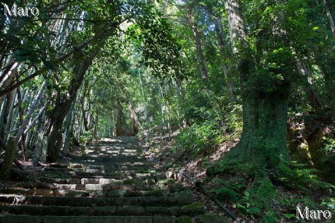 長命寺の参詣道 808段の石段道 近江八幡市 2016年6月