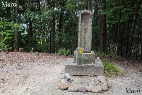 菟道稚郎皇子之墓 朝日山山頂 2016年6月