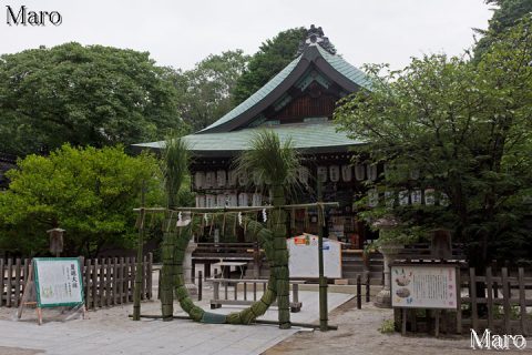 白峯神宮で茅の輪くぐり 京都の夏越祓 2016年6月30日