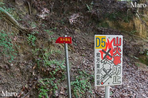 サンドイッチ山の取付 関電巡視路側（枚方市立野外活動センター側） 道標「D5」 2016年6月