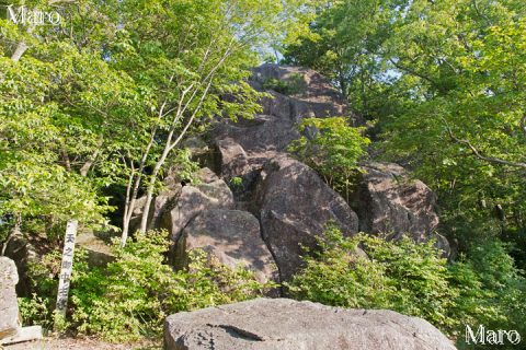 天之御中主大神の磐座？ 津田山の北尾根 2016年6月