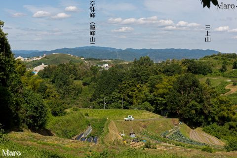 にほんの里100選 枚方市穂谷の風景 棚田と里山 山城の鷲峰山系を遠望 2016年6月