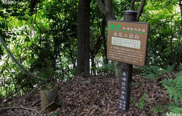 東海自然歩道「逢坂の関跡」紹介 逢坂山歩道橋の北側 2016年7月