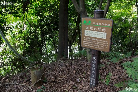 東海自然歩道「逢坂の関跡」紹介 逢坂山歩道橋の北側 2016年7月