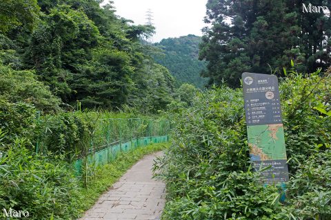 小関越のピーク付近 「小関越えの道分岐点」道標 2016年7月