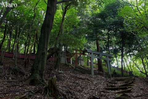 兜稲荷大神 長等公園の奥 滋賀県大津市 2016年7月