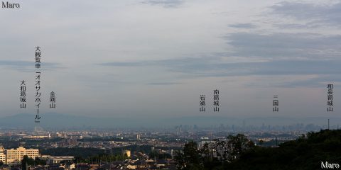 彩都せせらぎ橋から大観覧車「オオサカホイール」、大阪の高層ビル群を遠望 2016年7月1日
