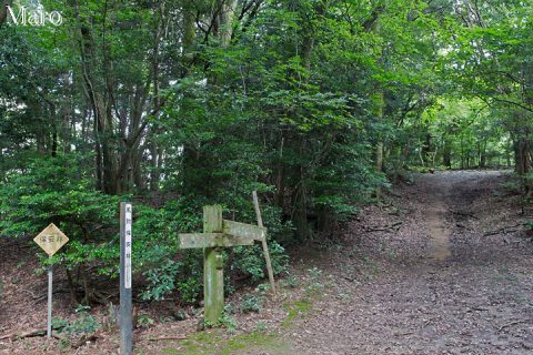 通行可能になった東海自然歩道 長等公園～大谷・逢坂山歩道橋分岐 2016年7月