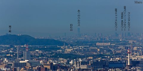 瓜生山からOBPビル群、あべのハルカス、鳩ヶ峰、京都タワーを遠望 2016年8月