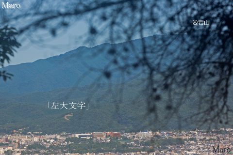 京都五山送り火「左大文字」の字跡と愛宕山を瓜生山から望む 2016年8月