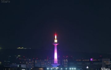 LED化された京都タワーの夜間照明 桃色（ピンク）もしくは紫色（パープル） 2016年3月14日