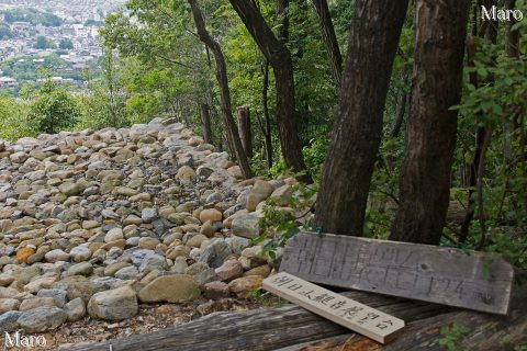 朝日山観音展望台 朝日山展望台 山名標 標高124m