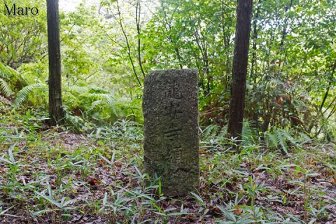 朱山の参道（山道）に見える「龍安寺領」境界杭 2016年9月