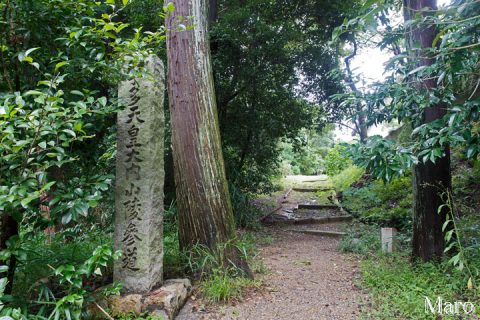 「宇多天皇大内山陵参道」石標 御室八十八ヶ所から原谷道へ 2016年9月